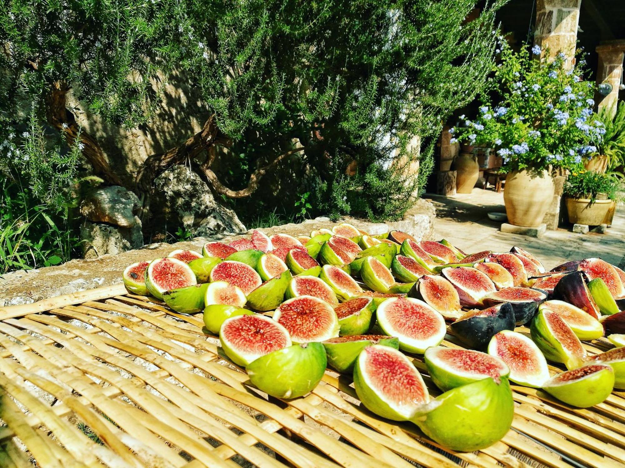 Masseria Borgo Del Gallo Tricase Zewnętrze zdjęcie