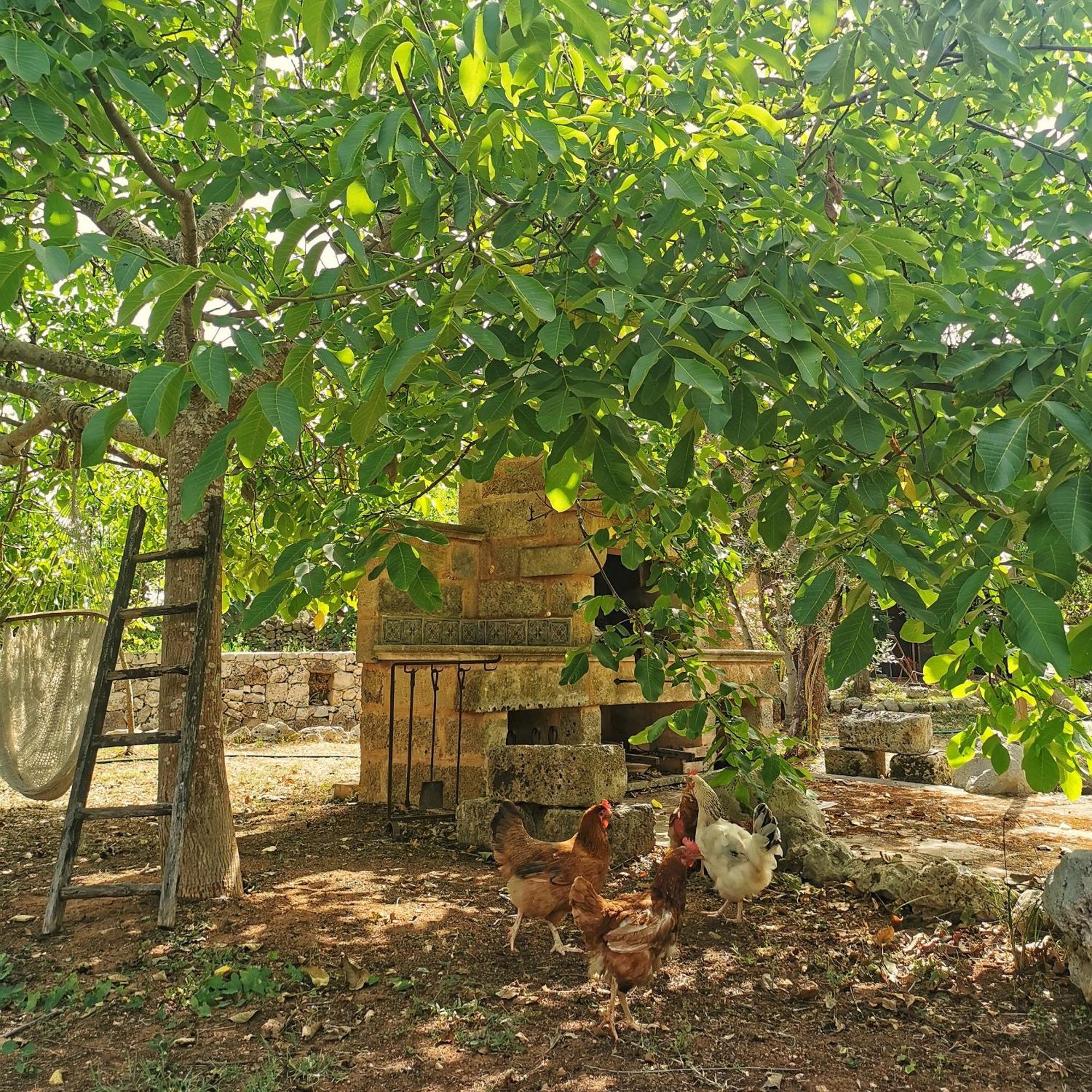 Masseria Borgo Del Gallo Tricase Zewnętrze zdjęcie