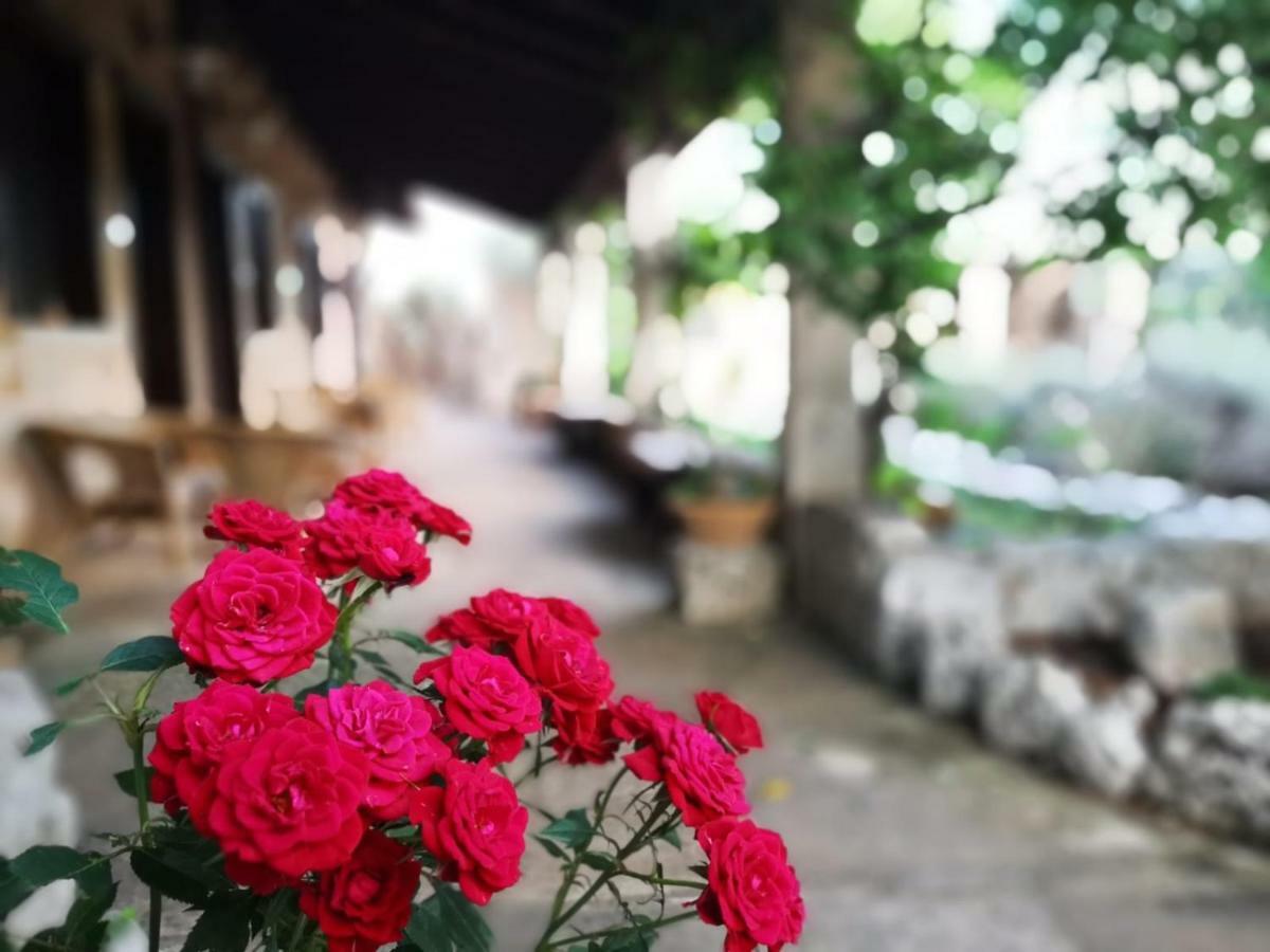 Masseria Borgo Del Gallo Tricase Zewnętrze zdjęcie
